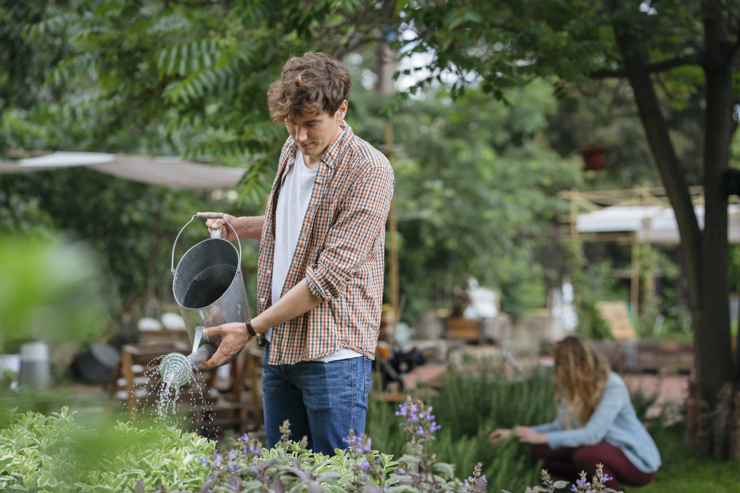 Deciding on Seed or Sod for Establishing a New Lawn