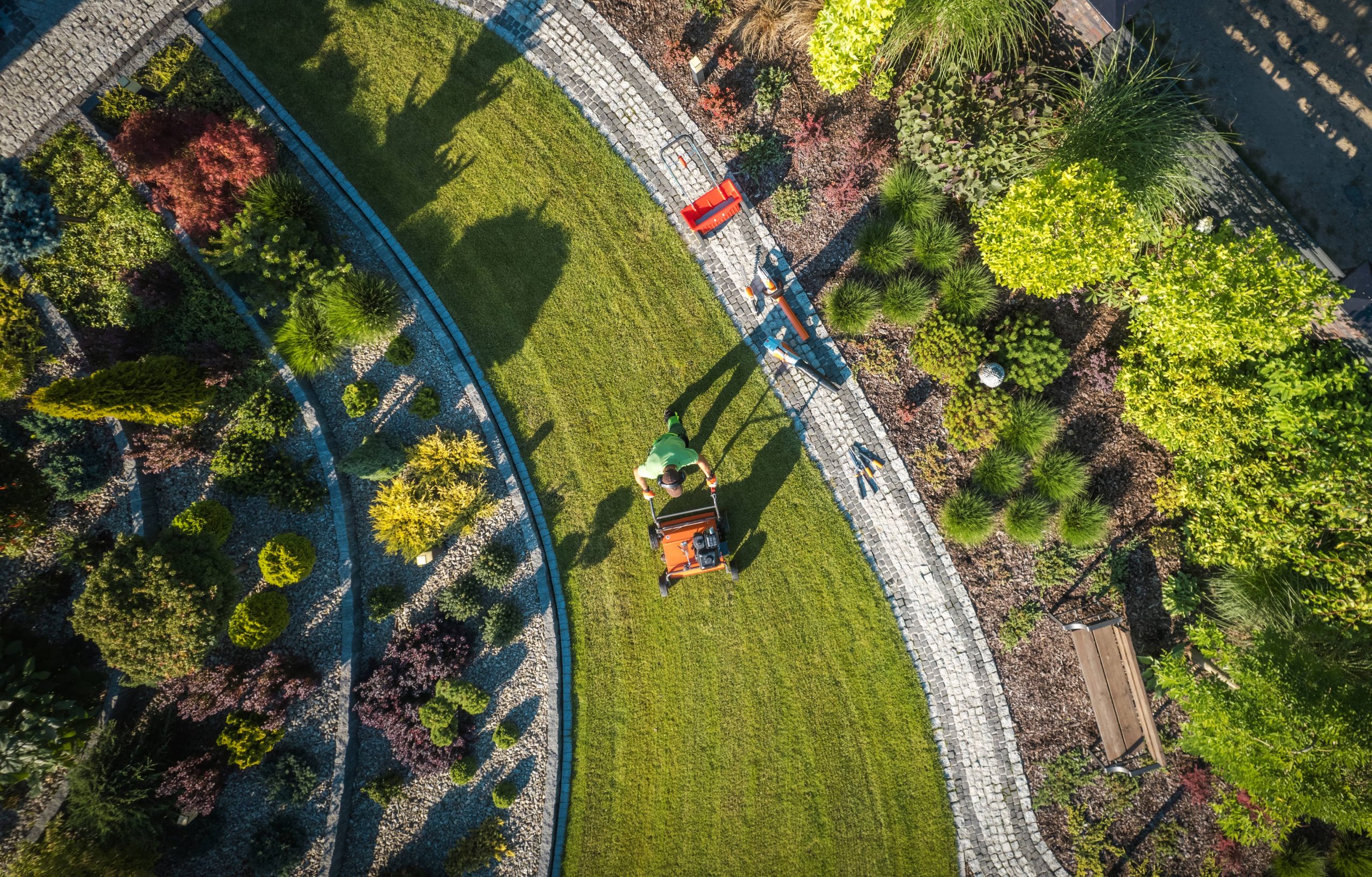 Pruning Trees and Shrubs for Optimal Health and Aesthetic Appeal