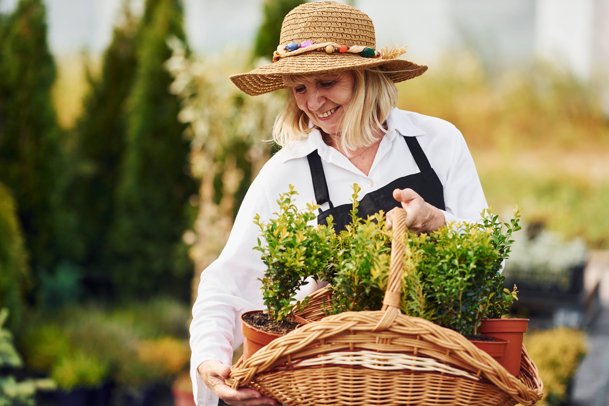 Successful Strategies for Container Gardening